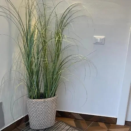 B&B Santa Lucia בית הארחה